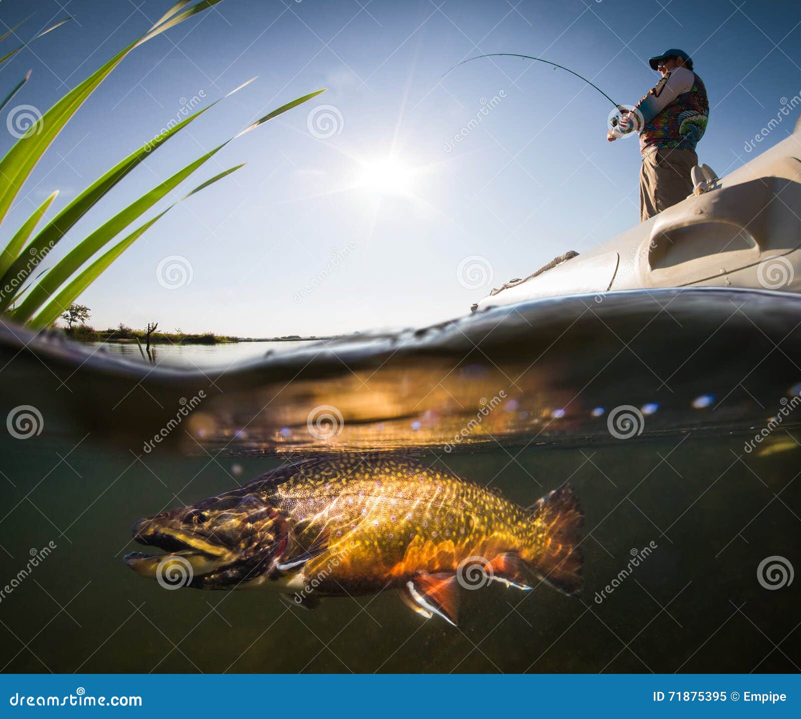 fisherman and trout