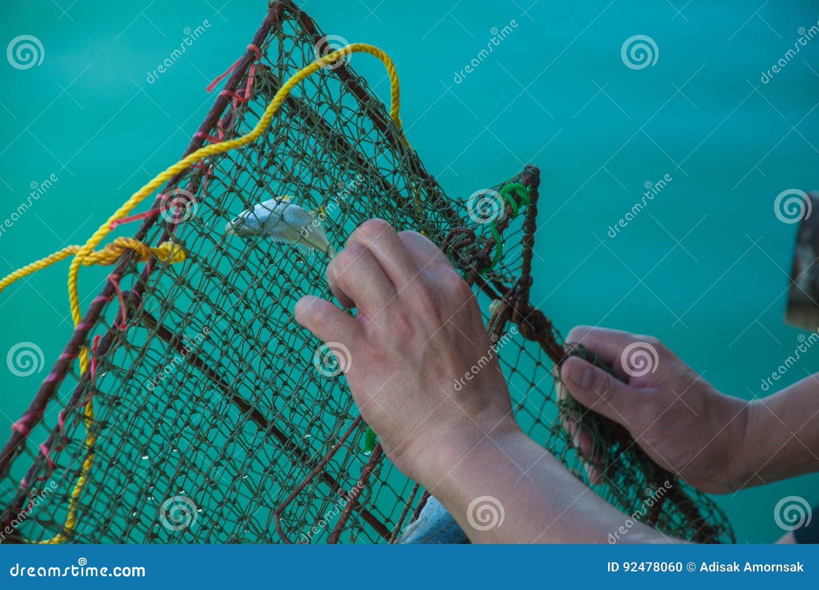 Fisherman Try To Unpack Trapped Fish from Fishing Net with Background of  Blue Sea Stock Photo - Image of gear, bubbles: 92478060