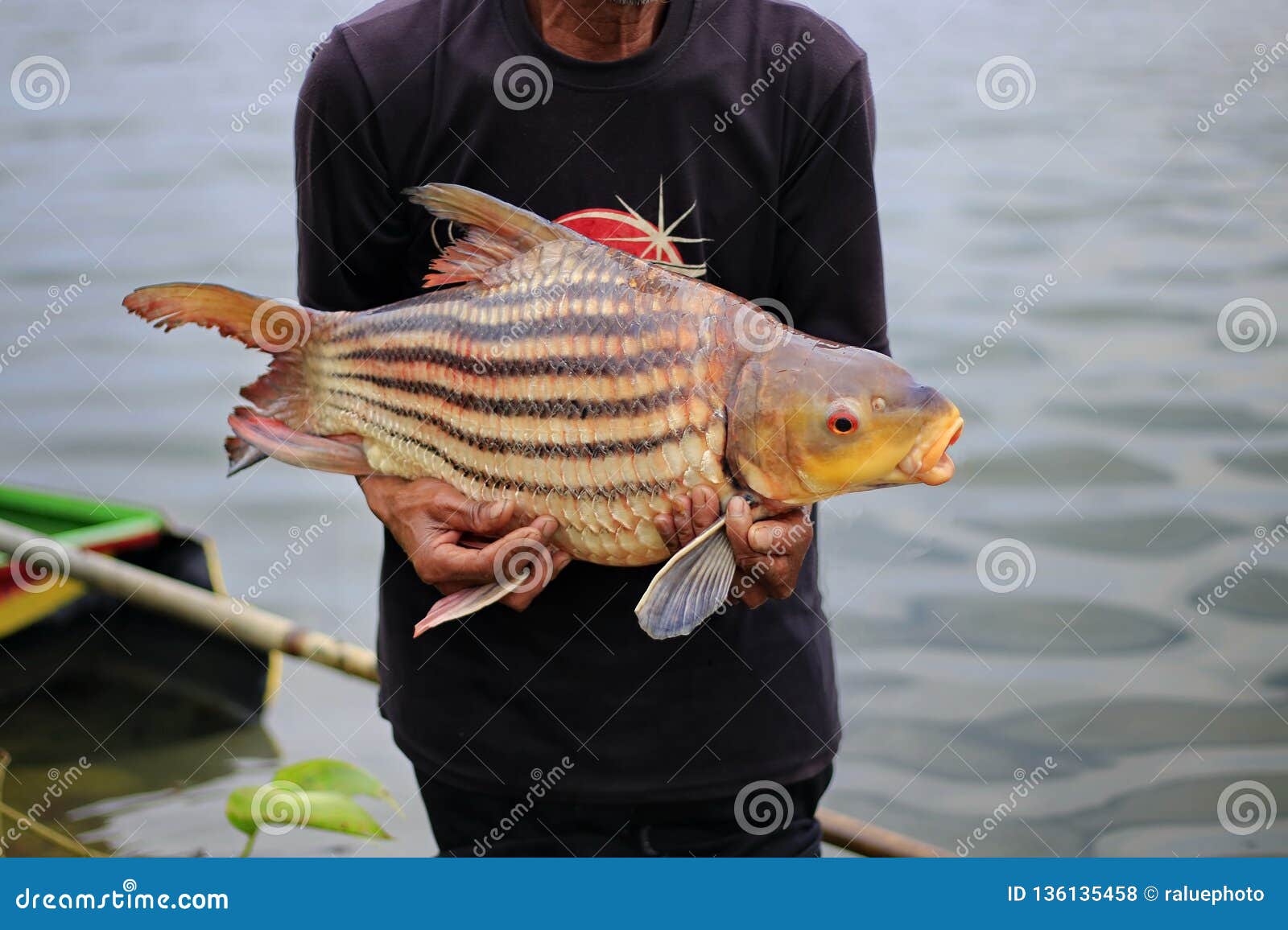 1,459 Fisherman Casting Net Stock Photos - Free & Royalty-Free Stock Photos  from Dreamstime - Page 11