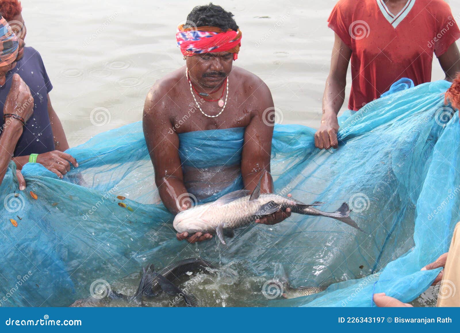 Fishermen Catching Big Fish in Net Community Fishing in Asia Hd