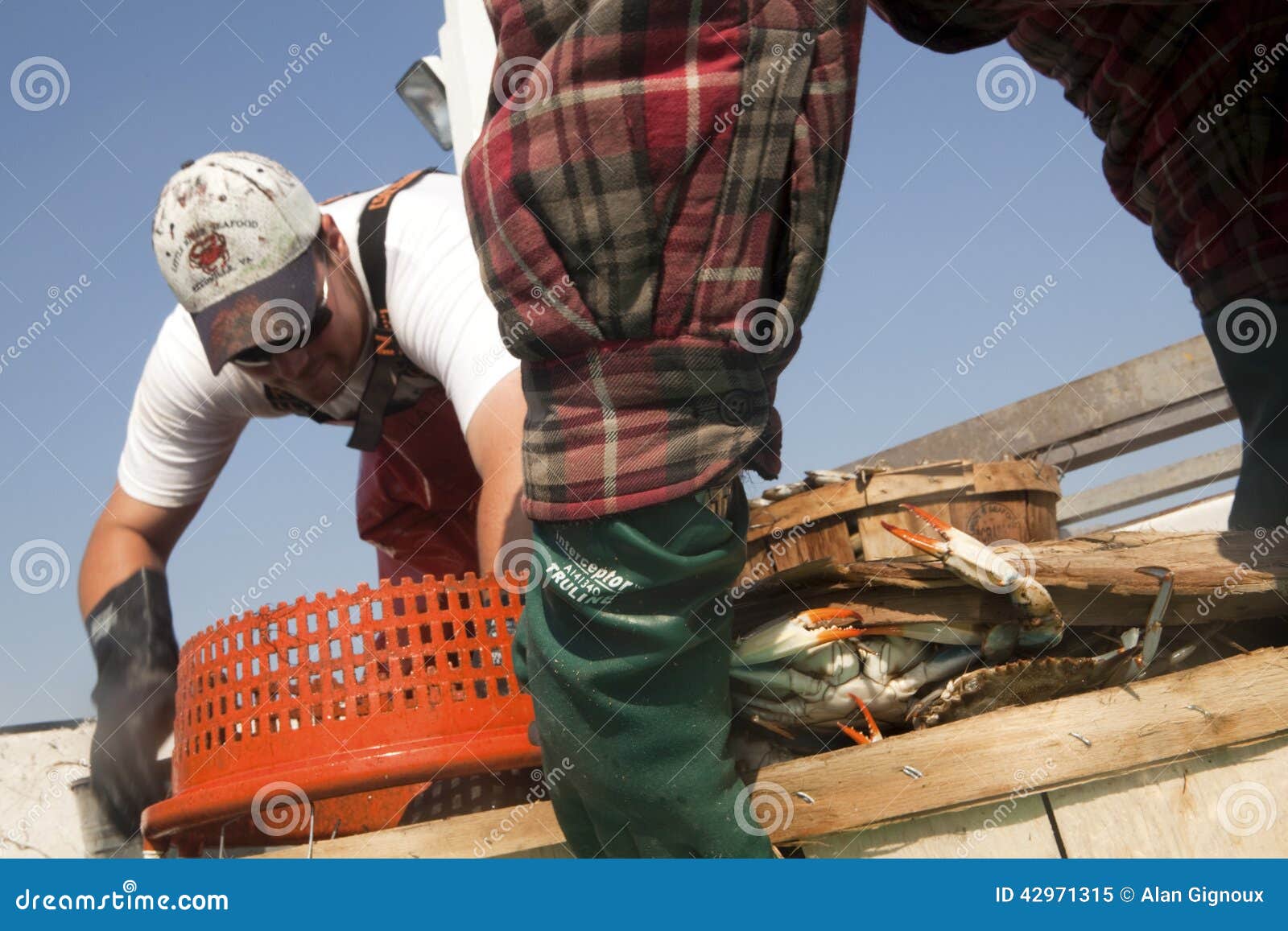 Fishermen with crab pots editorial image. Image of industry 42971315