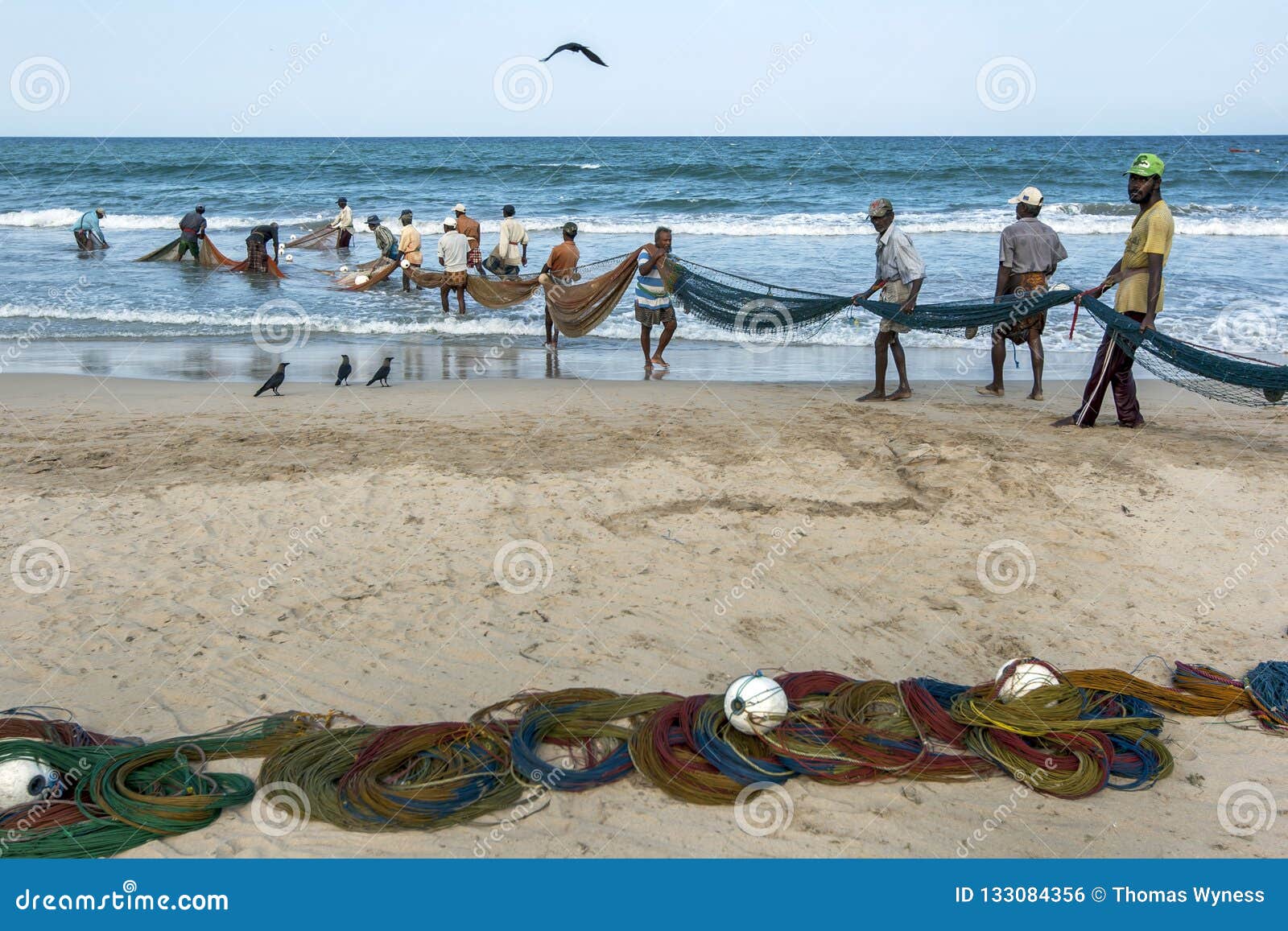 https://thumbs.dreamstime.com/z/fishermen-drag-large-fishing-net-onto-beach-uppuveli-east-coast-sri-lanka-late-afternoon-133084356.jpg