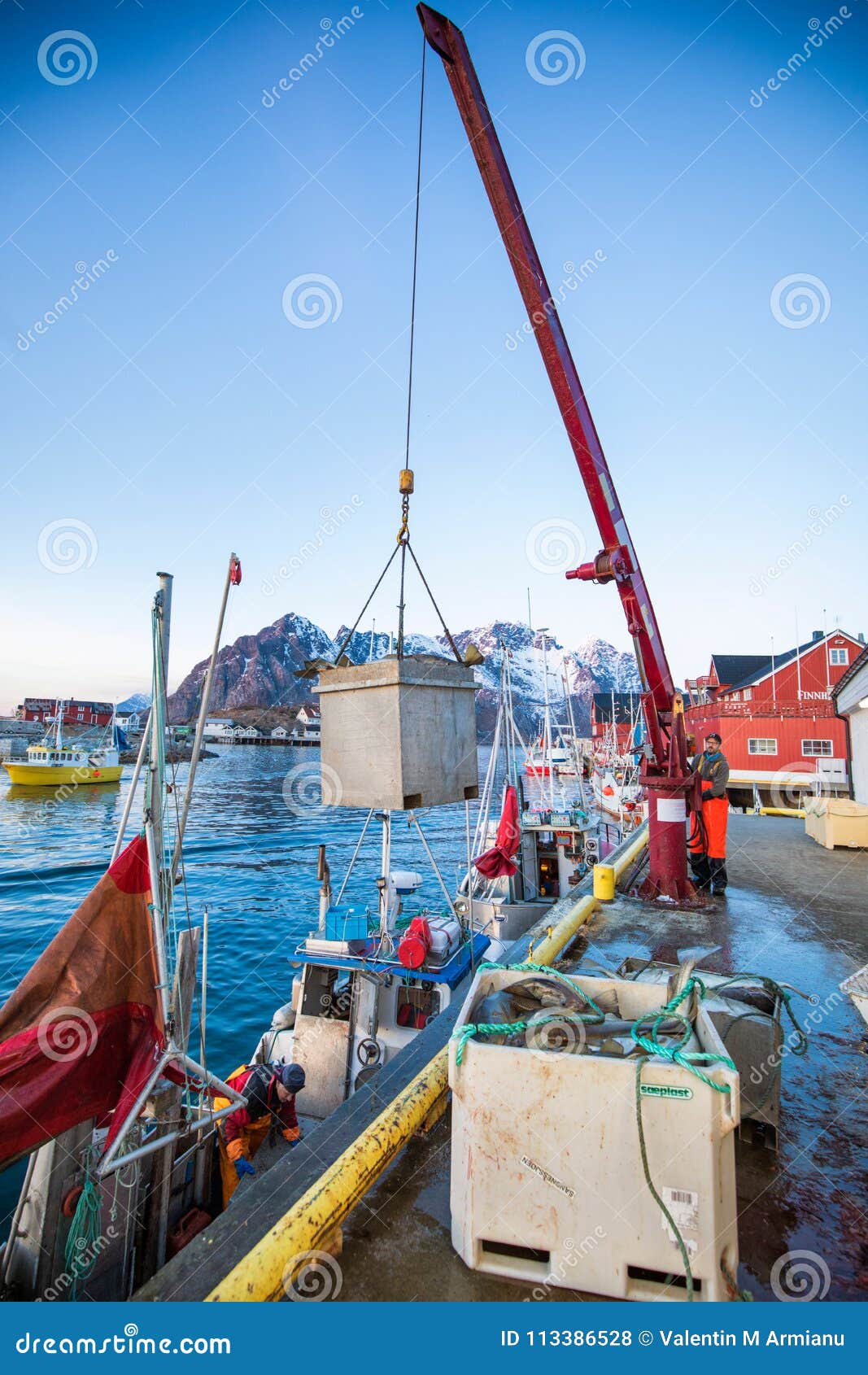 Fishermen Unloading Fish From The Boat Editorial Stock ...