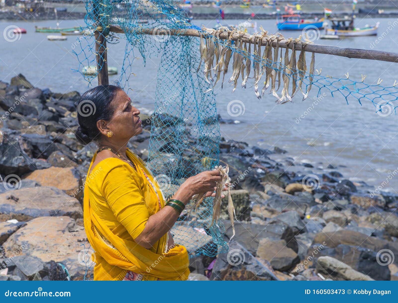 Stock photo of Throw-net fisherman fishing in Pulicat Lake, Tamil