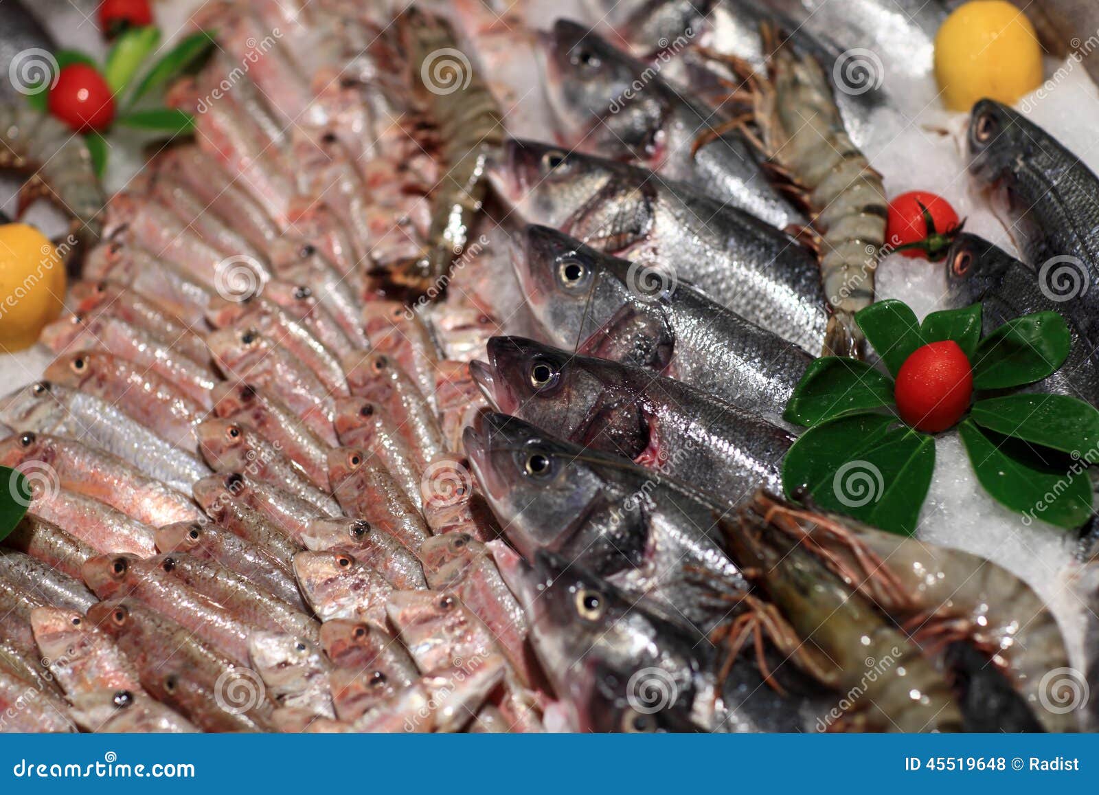 Fishes on the Grocery Store Counter Stock Photo Image of catch, farm