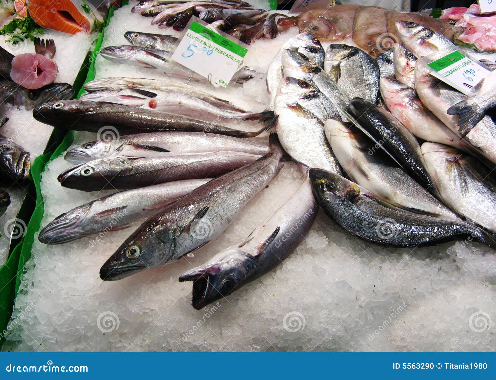 Fishes in market stock photo. Image of cold, scales, fishes 5563290