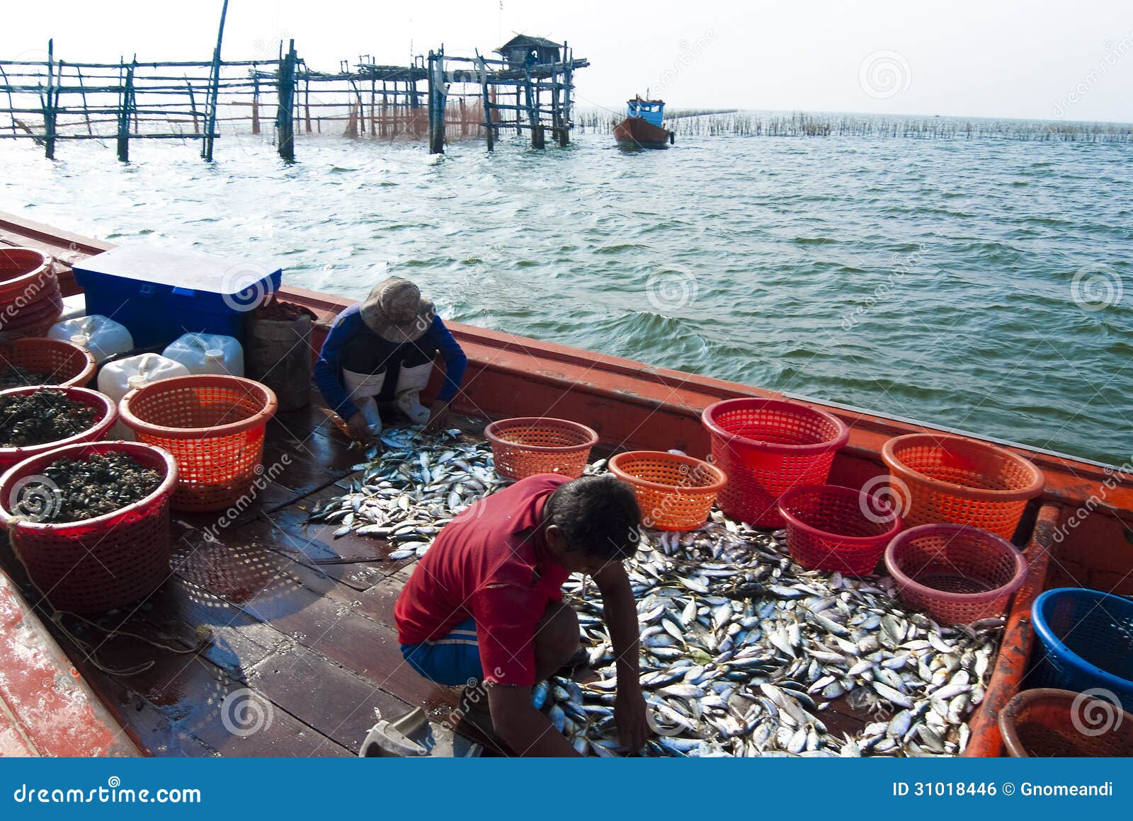 Fishing Activities at the Mouth of Mae Klong River, Thailand Editorial  Photo - Image of ocean, fisheries: 31018446