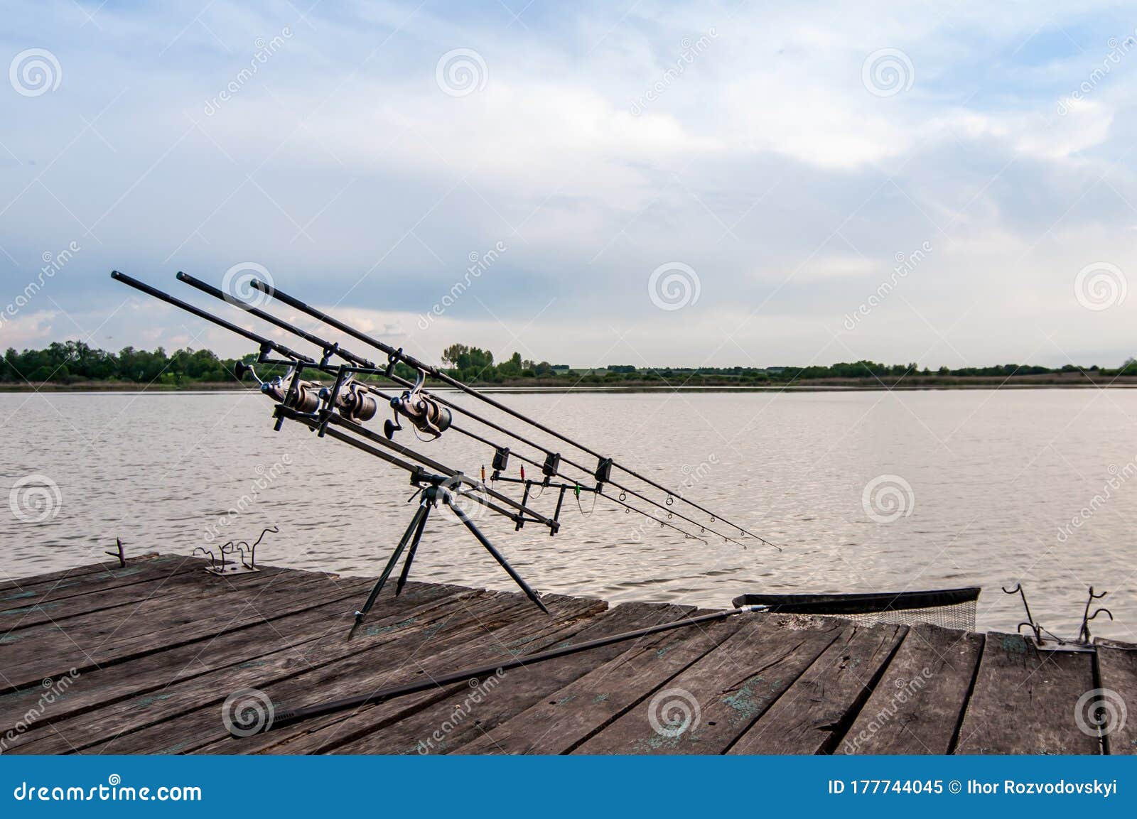 Fishing Adventures, Carp Fishing at Dawn. Professional Fishing