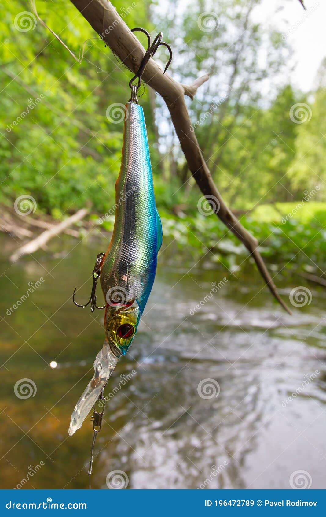 Fishing Bait Caught on a Tree Stock Image - Image of minnow, bait: 196472789