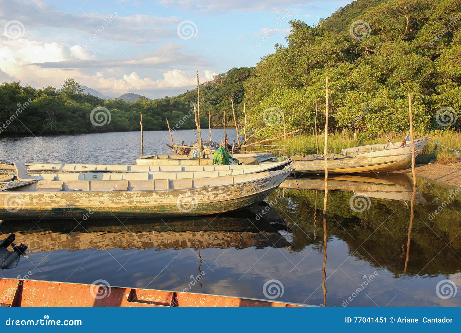 fishing boat, canoa de pesca. background.