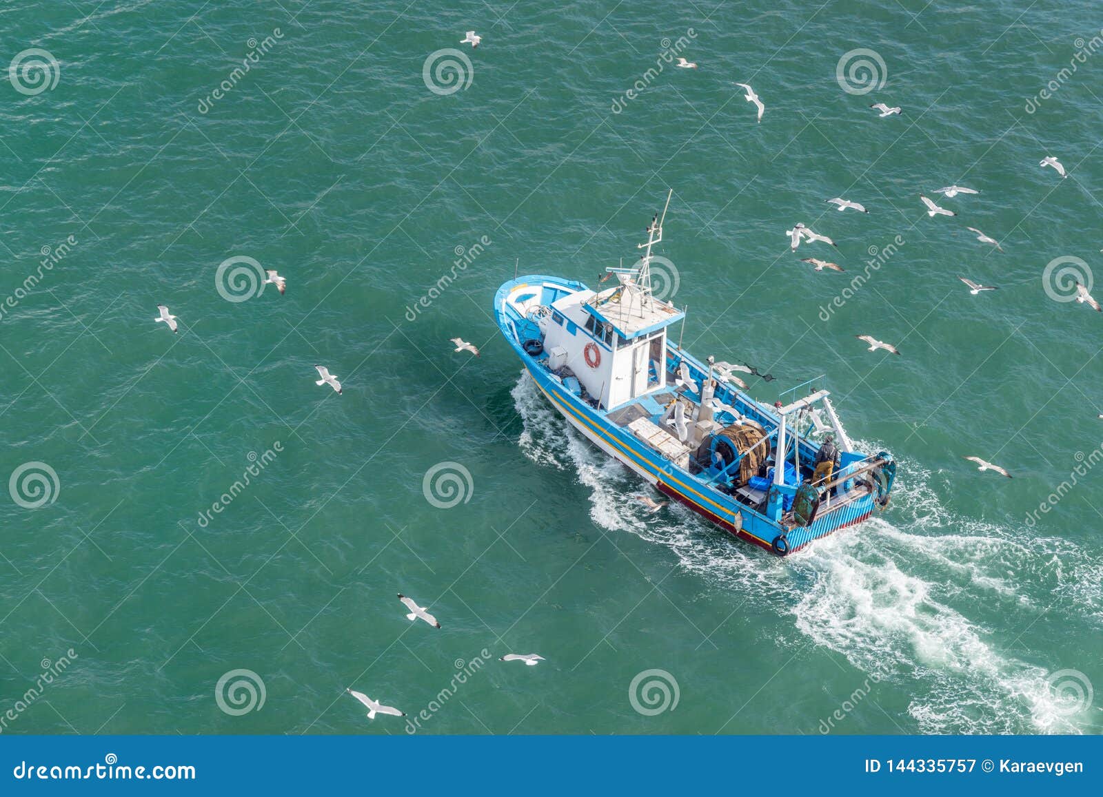 Fishing Boat and Seagulls in the Sea. Top View Stock Image Image of