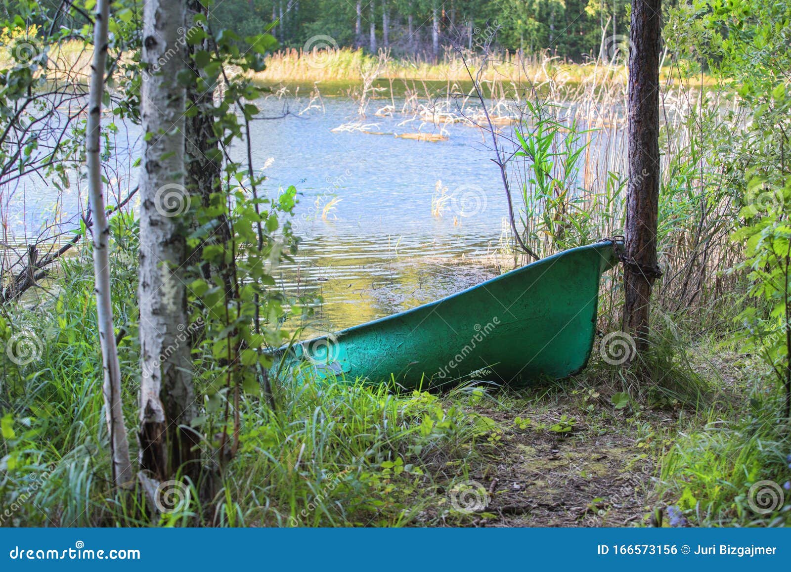 Fishing Boat on the Shore of a Forest Lake Stock Photo Image of