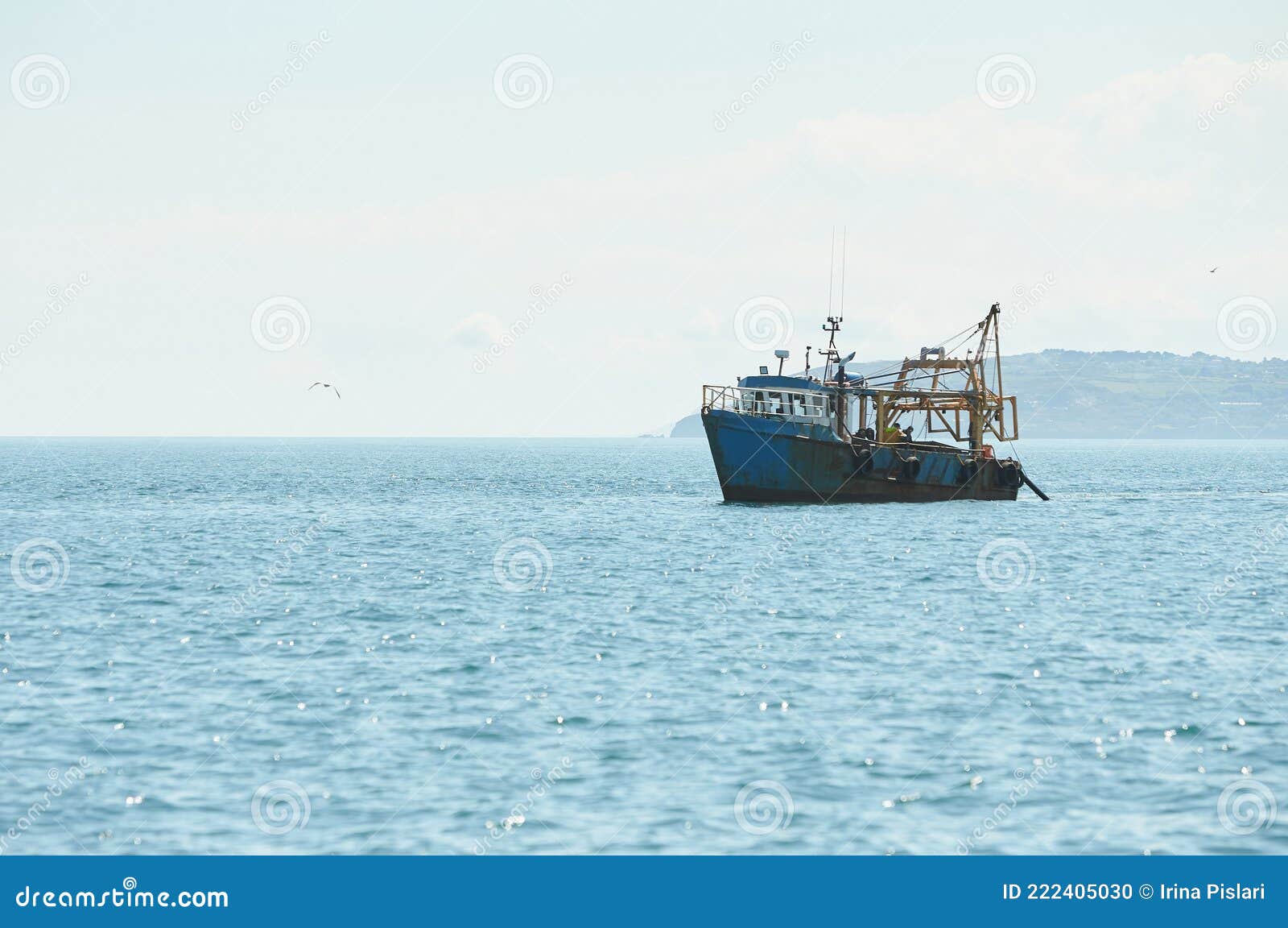 Fishing Boat, Trawler Fishing Razor Fish in an Open Irish Sea