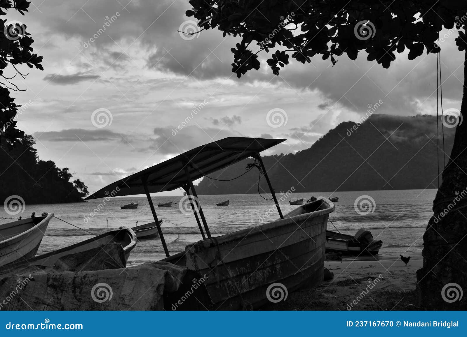 fishing boats or pirogues on the seashore of the maracas bay fishing village, trinidad