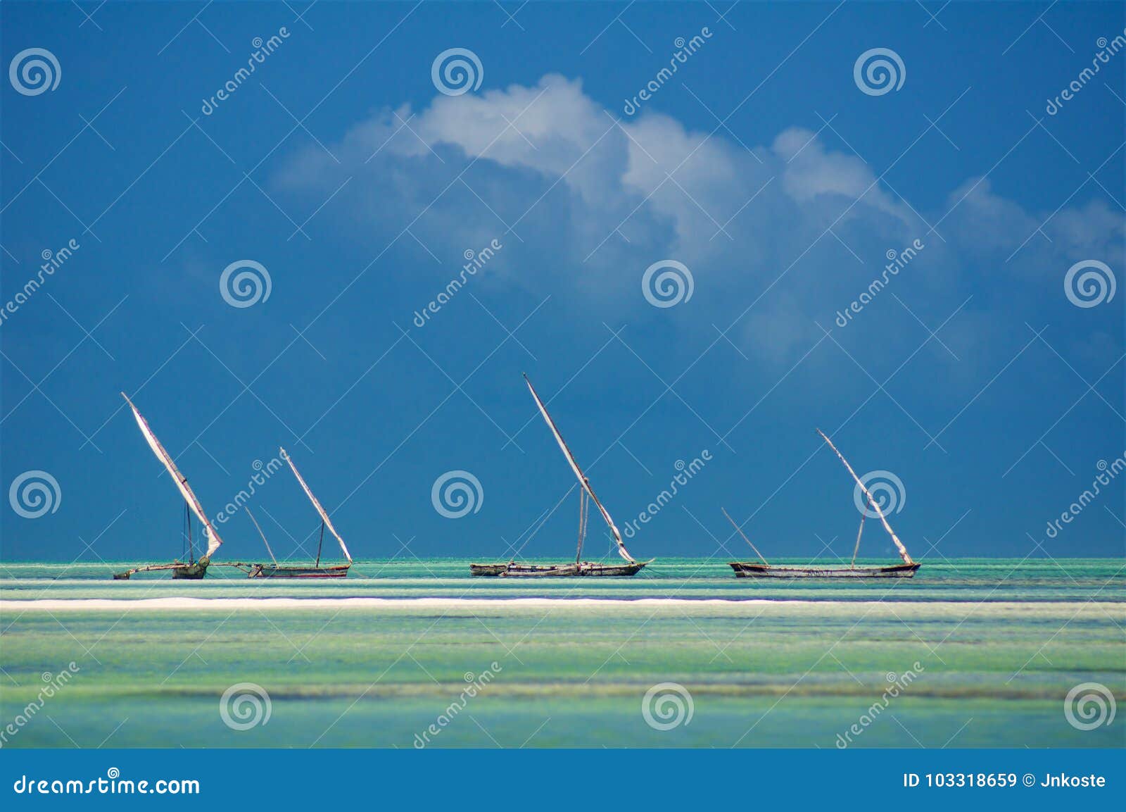 Fishing Boats Sail Traditional Africa Stock Image - Image of boats, sailing:  103318659