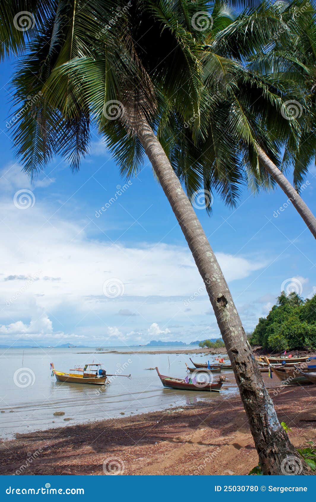 fishing boats under palmtrees