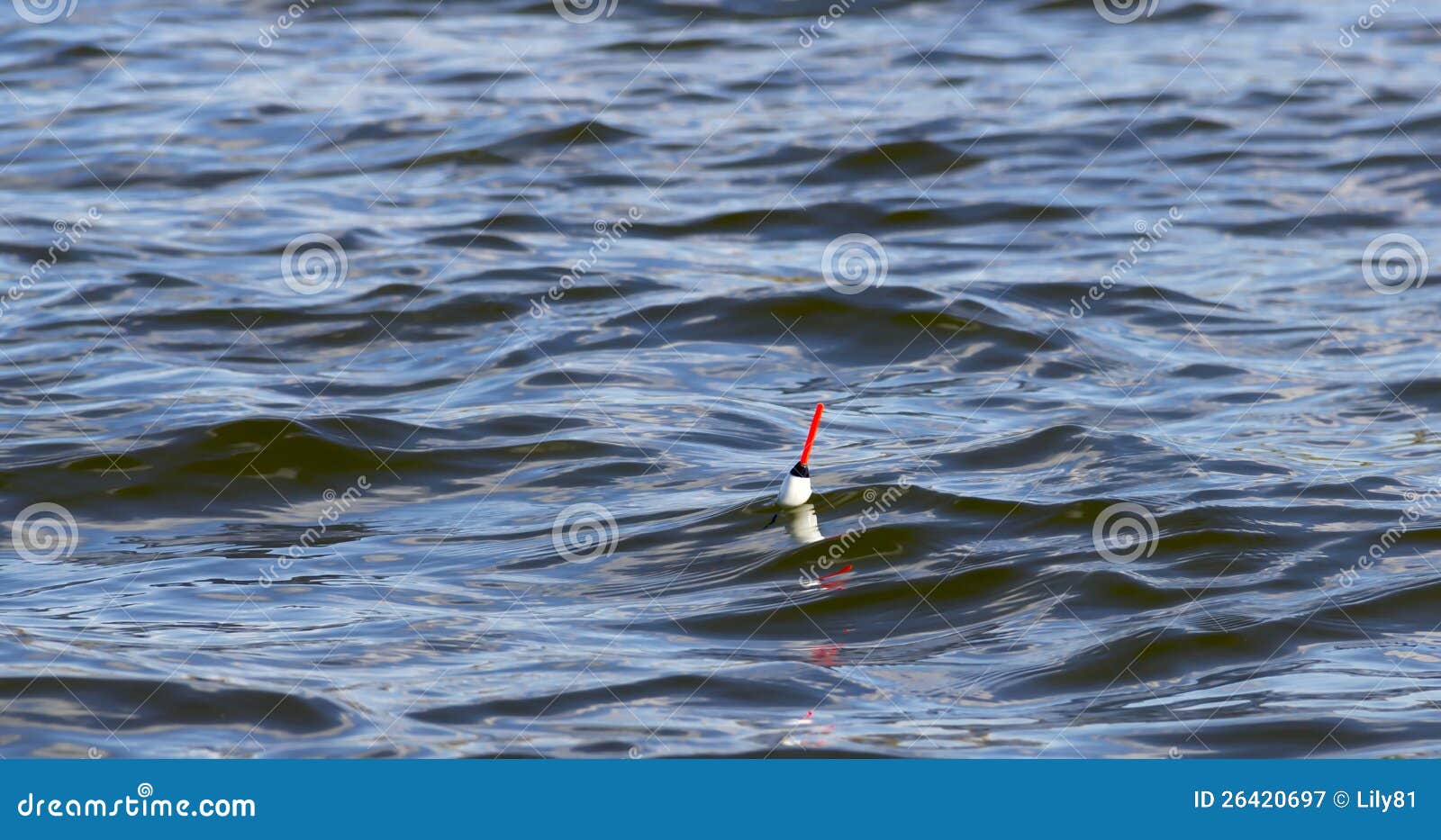 179 Fishing Bobber Floating Water Stock Photos - Free & Royalty-Free Stock  Photos from Dreamstime