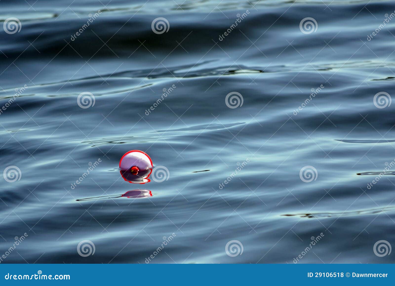 Fishing Bobber Floating in Water Stock Photo - Image of lake