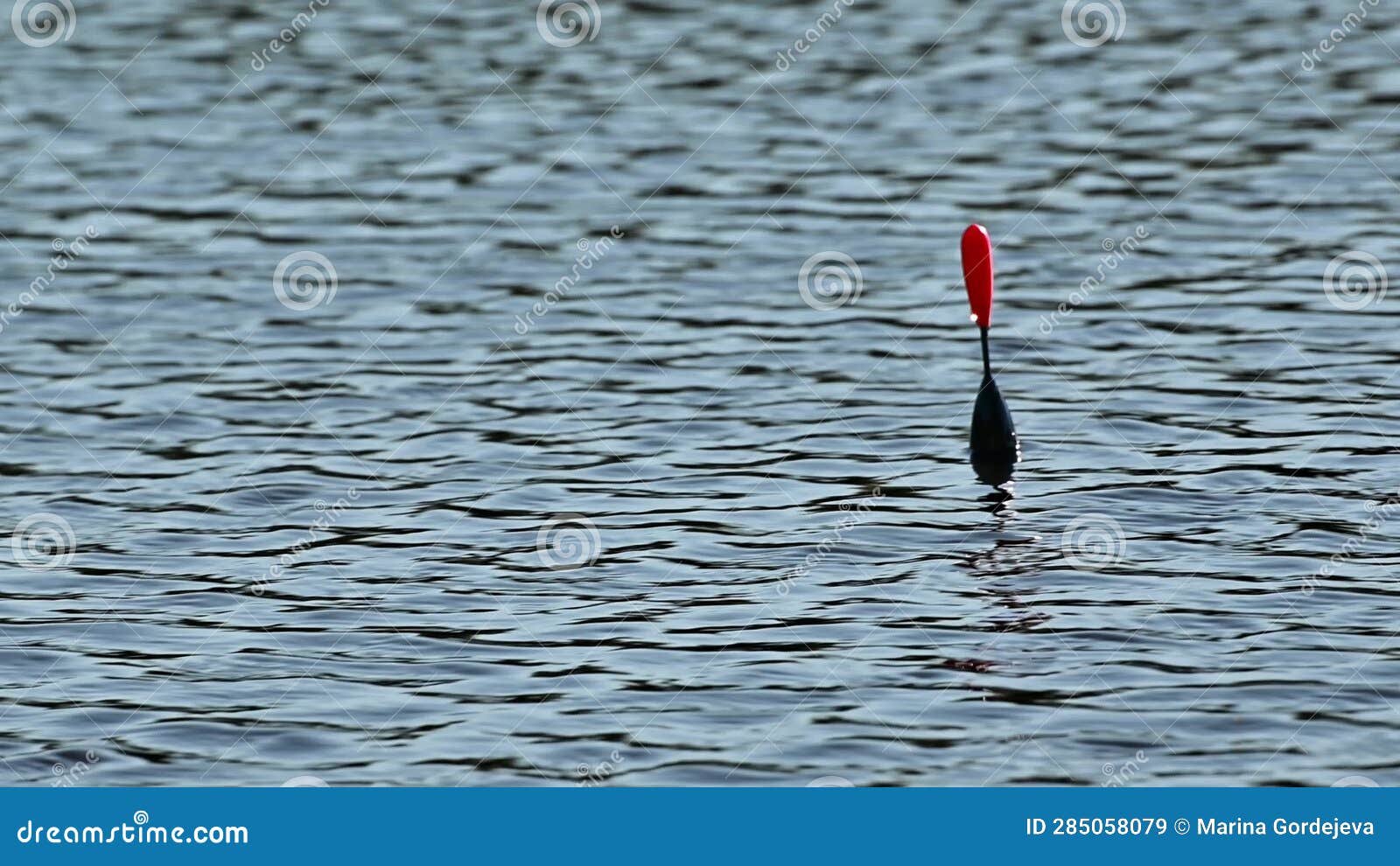 Fishing Bobber Floats in Blue Water. the Float Floats on the Water