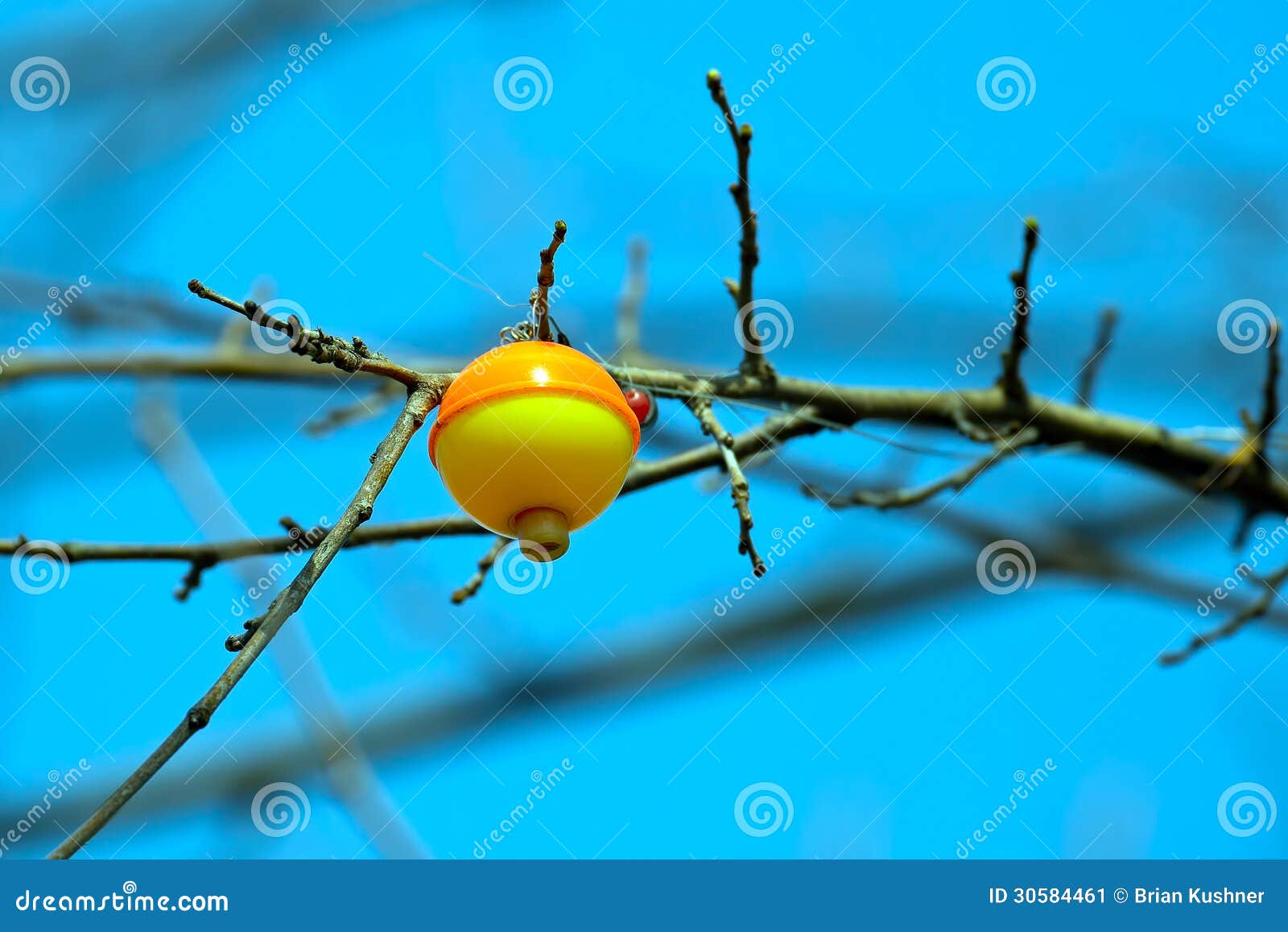 Fishing Line Tangled Tree Stock Photos - Free & Royalty-Free Stock