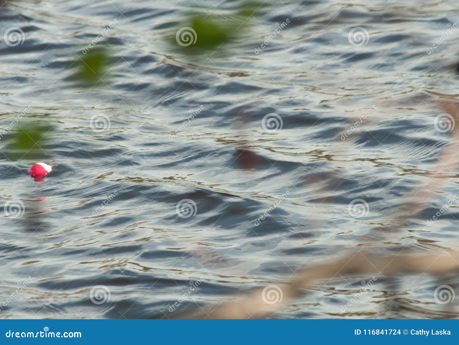 Bobber Floating Water Ripples Stock Photos - Free & Royalty-Free