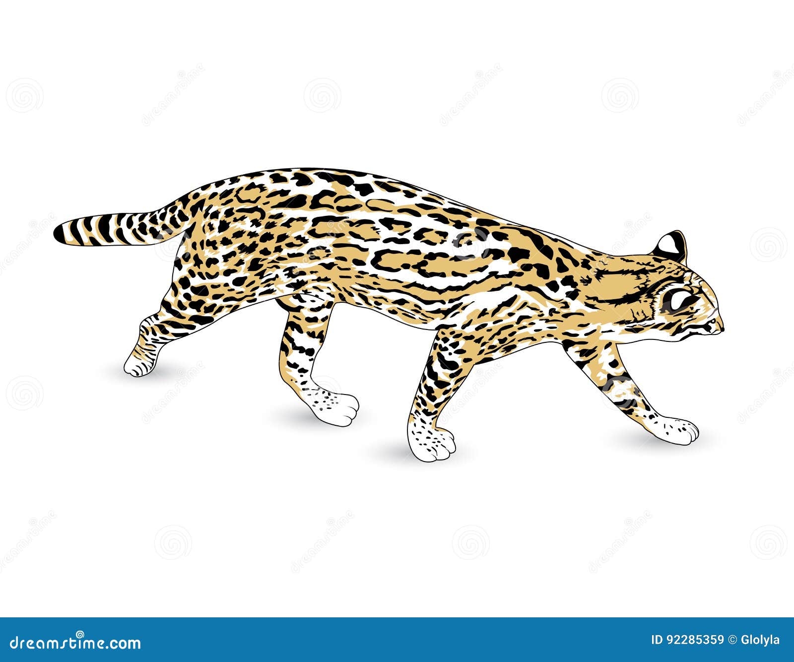 Fishing cat. stock vector. Illustration of character - 92285359