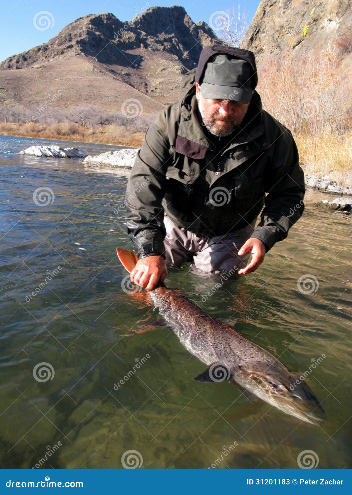 252 Siberian Trout Stock Photos - Free & Royalty-Free Stock Photos from  Dreamstime