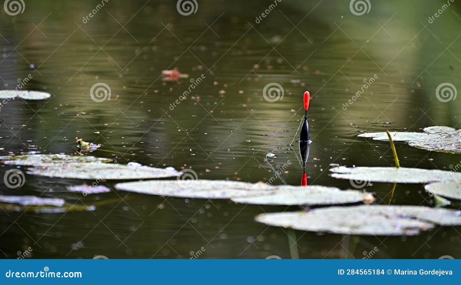 A Fishing Float Floats in the Water. the Bobber Floats on the Water