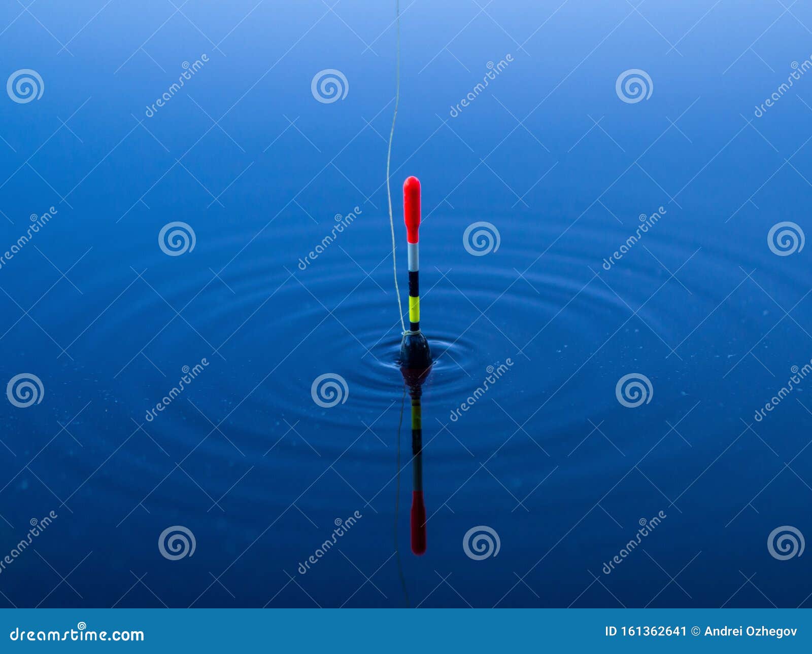 A Fishing Float Floats on the Water Stock Image - Image of pond, float:  161362641