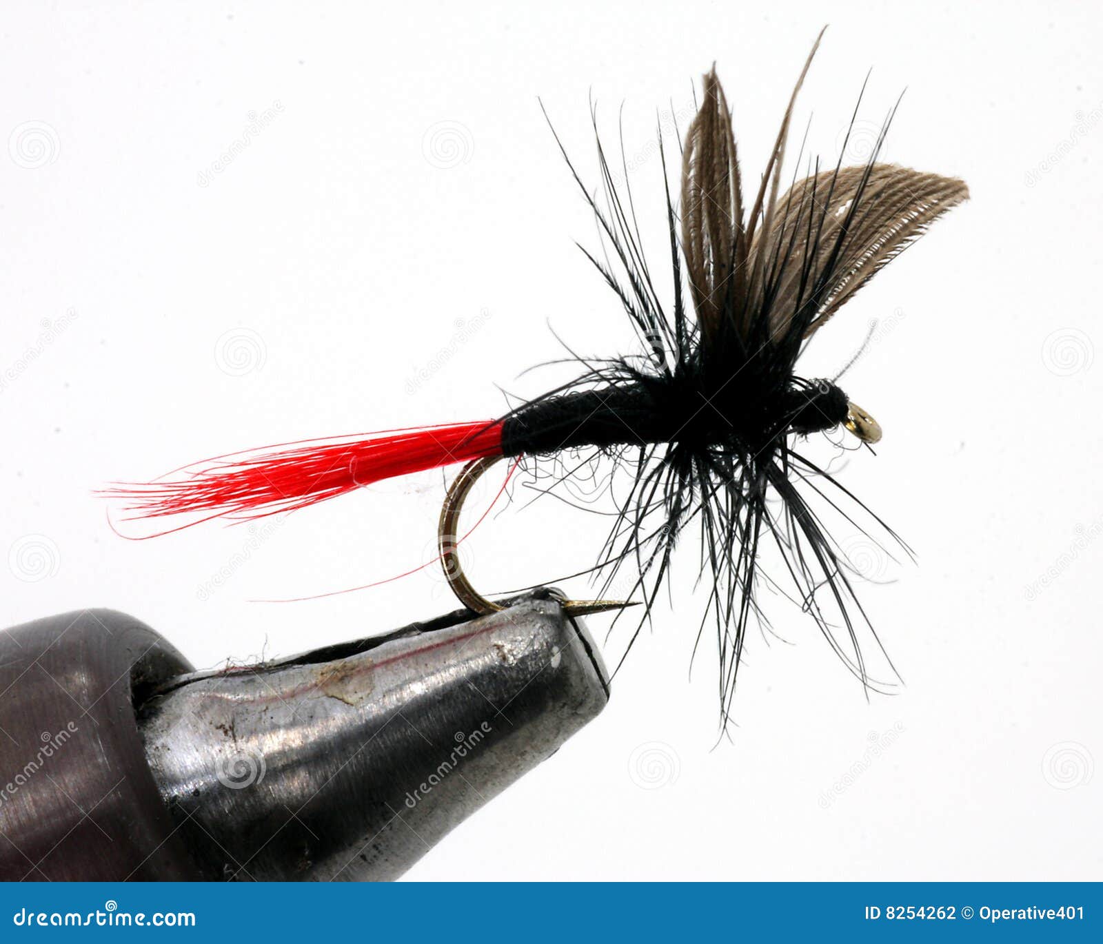 Fishing fly in holder stock photo. Image of fishing, hobbies - 8254262