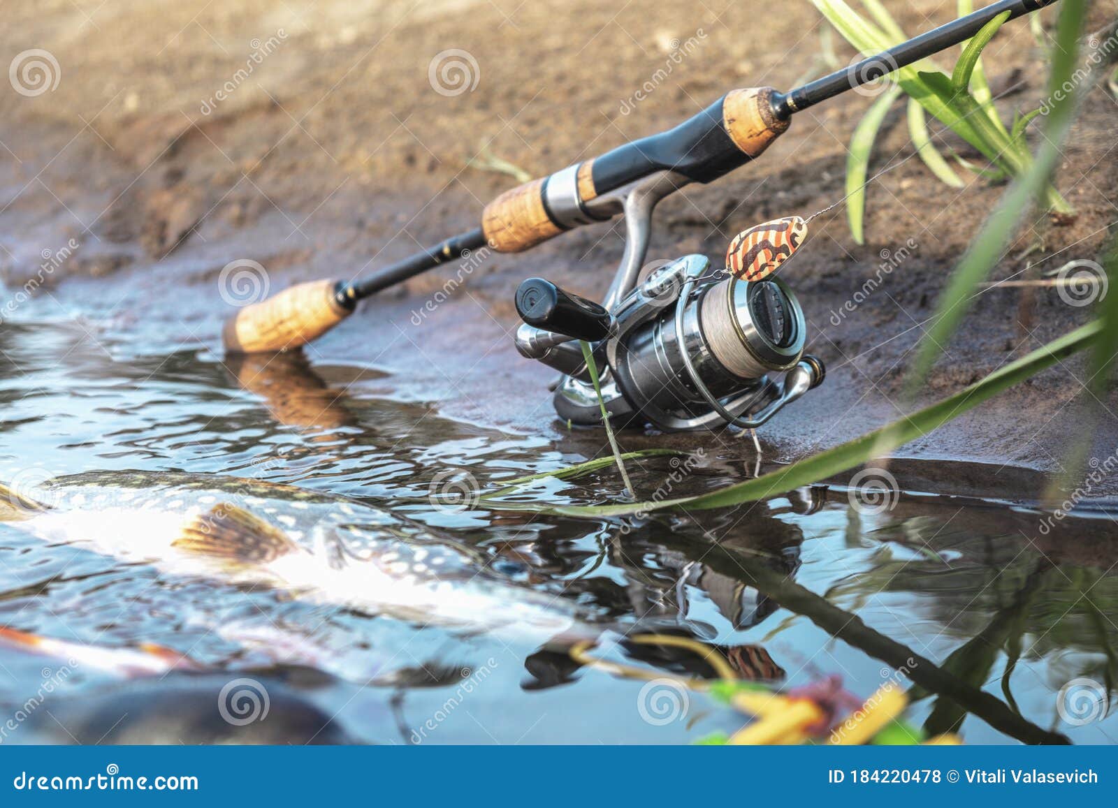 Fishing Gear on the River Bank Stock Photo - Image of hook, fishing:  184220478