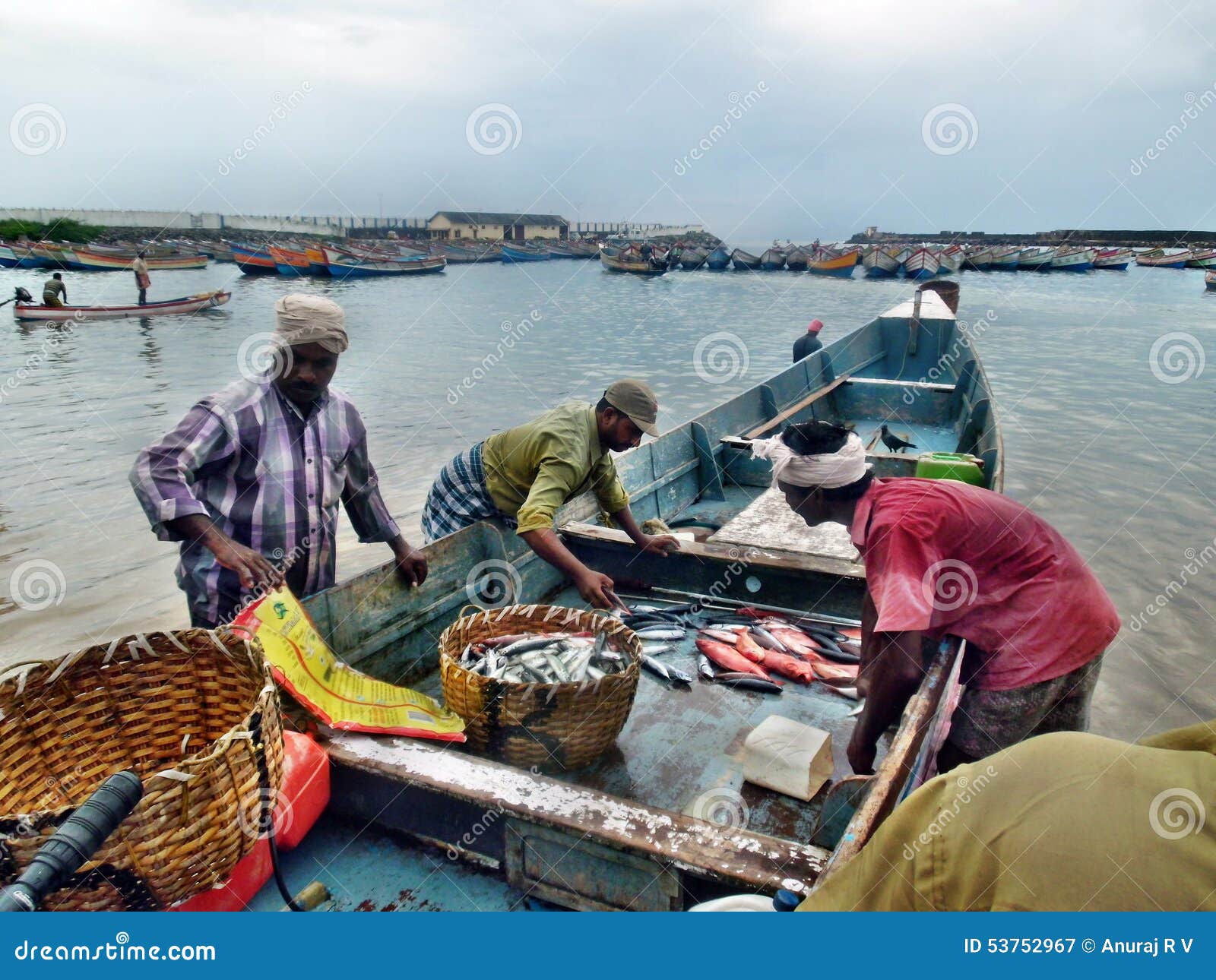 Fishing In India Editorial Photography - Image: 53752967