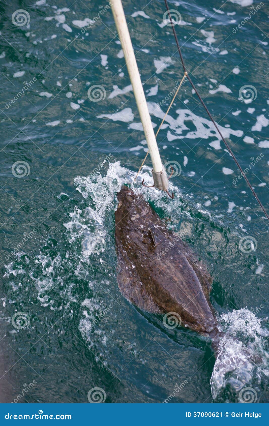 212 Longline Fishing Stock Photos - Free & Royalty-Free Stock Photos from  Dreamstime