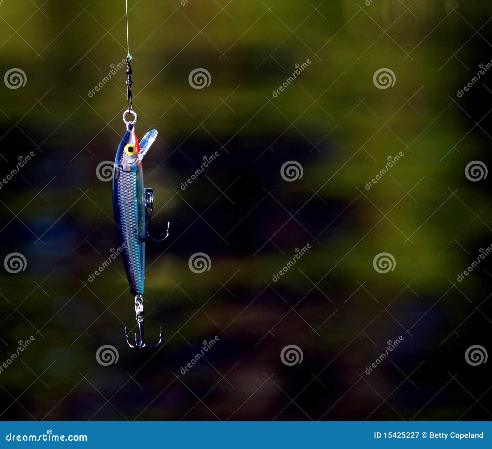 33,989 Lure Fishing Stock Photos - Free & Royalty-Free Stock Photos from  Dreamstime