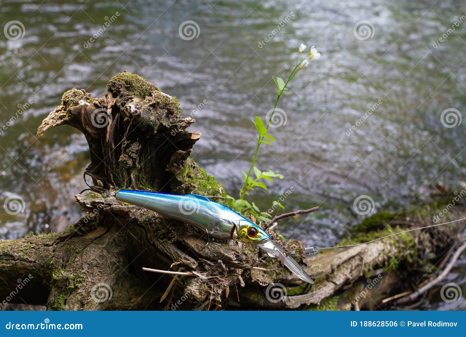 Fishing Lure Caught on a Tree Stock Photo - Image of color