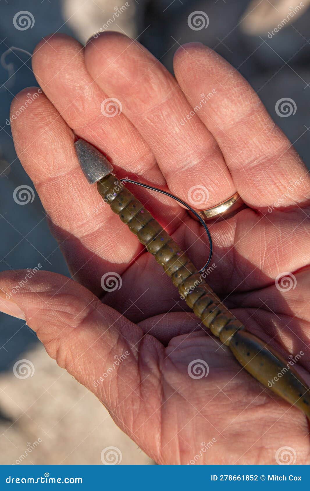 Texas Rig Fishing Stock Photos - Free & Royalty-Free Stock Photos from  Dreamstime