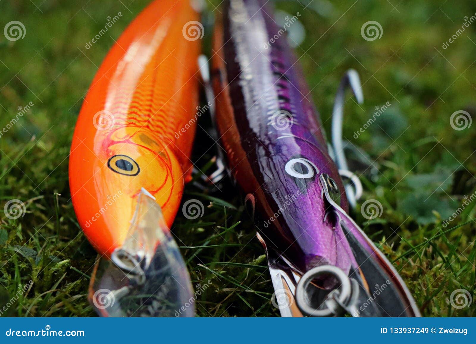 Rapala Magnum Stock Photos - Free & Royalty-Free Stock Photos from