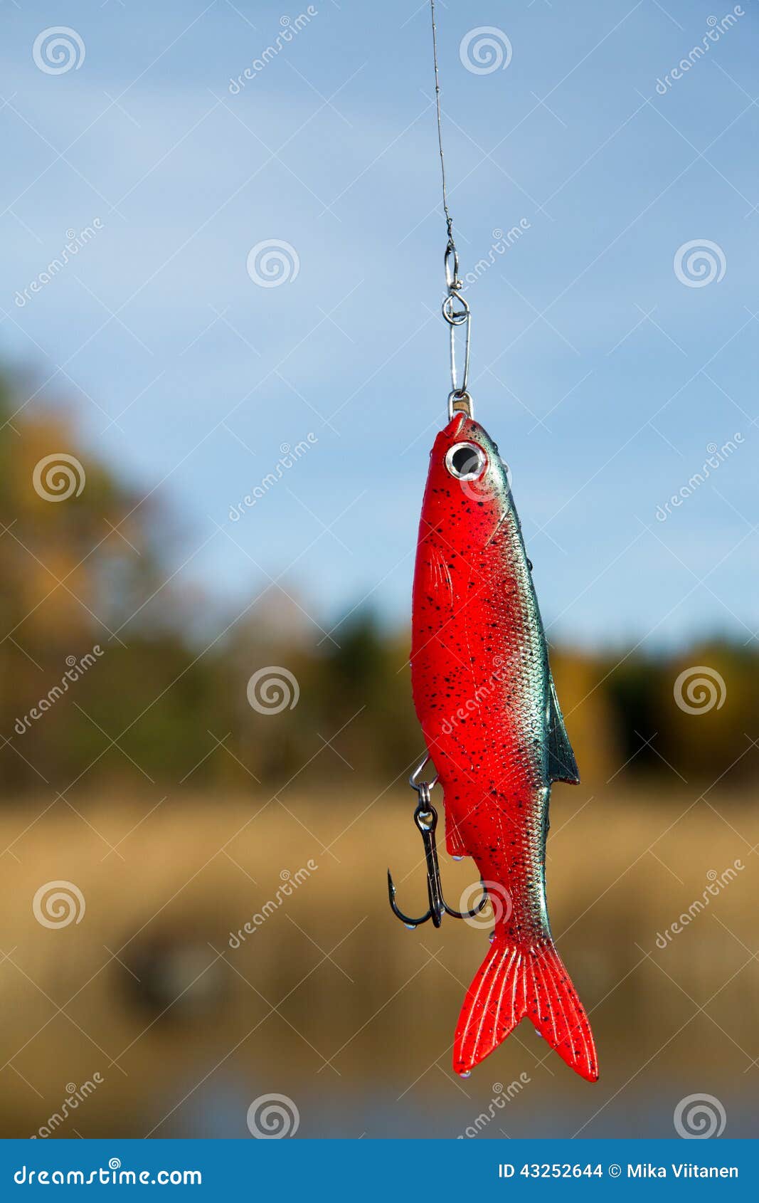 Fishing lure stock photo. Image of lake, hook, lure, leadership 43252644