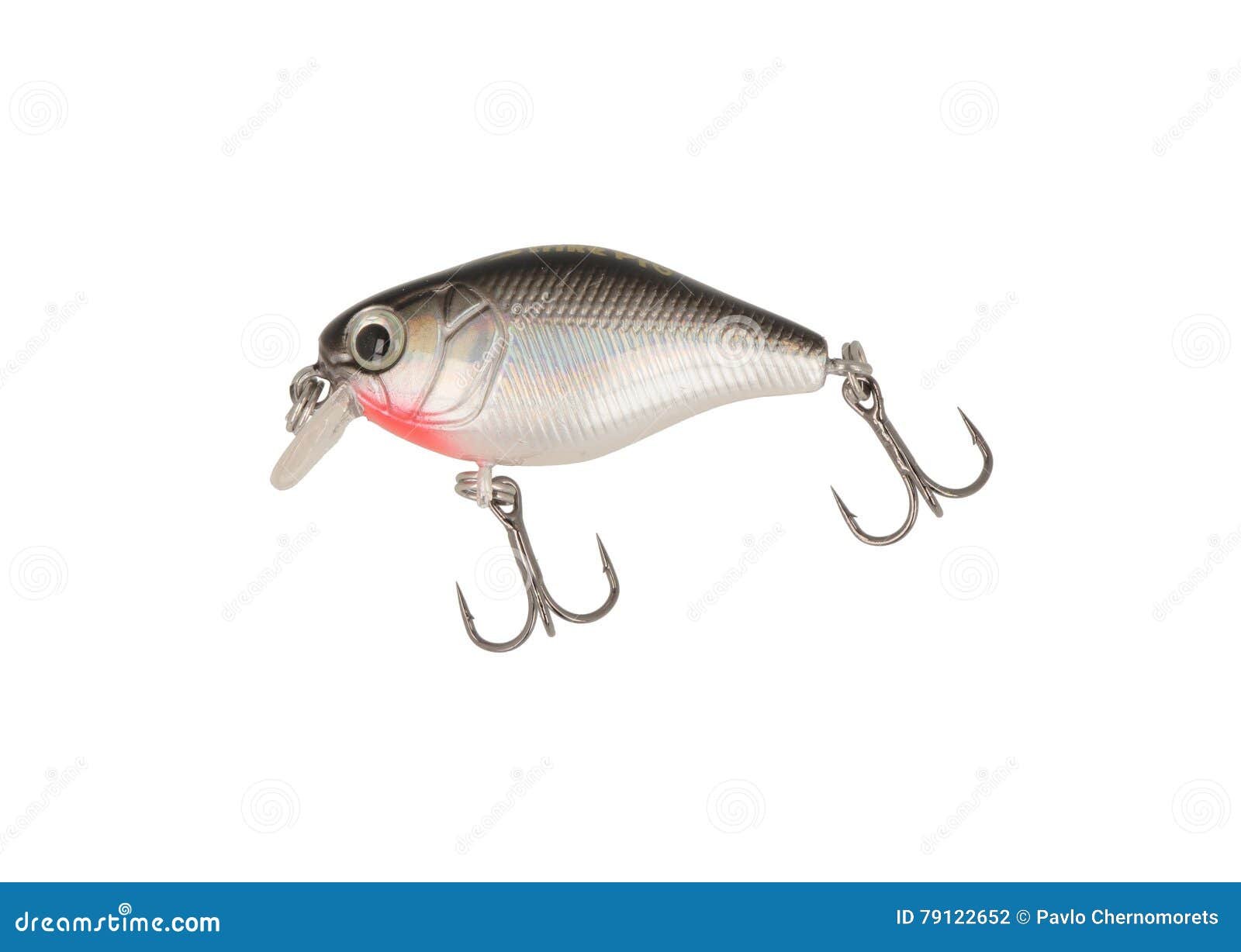 11,201 White Background Lure Stock Photos - Free & Royalty-Free Stock  Photos from Dreamstime