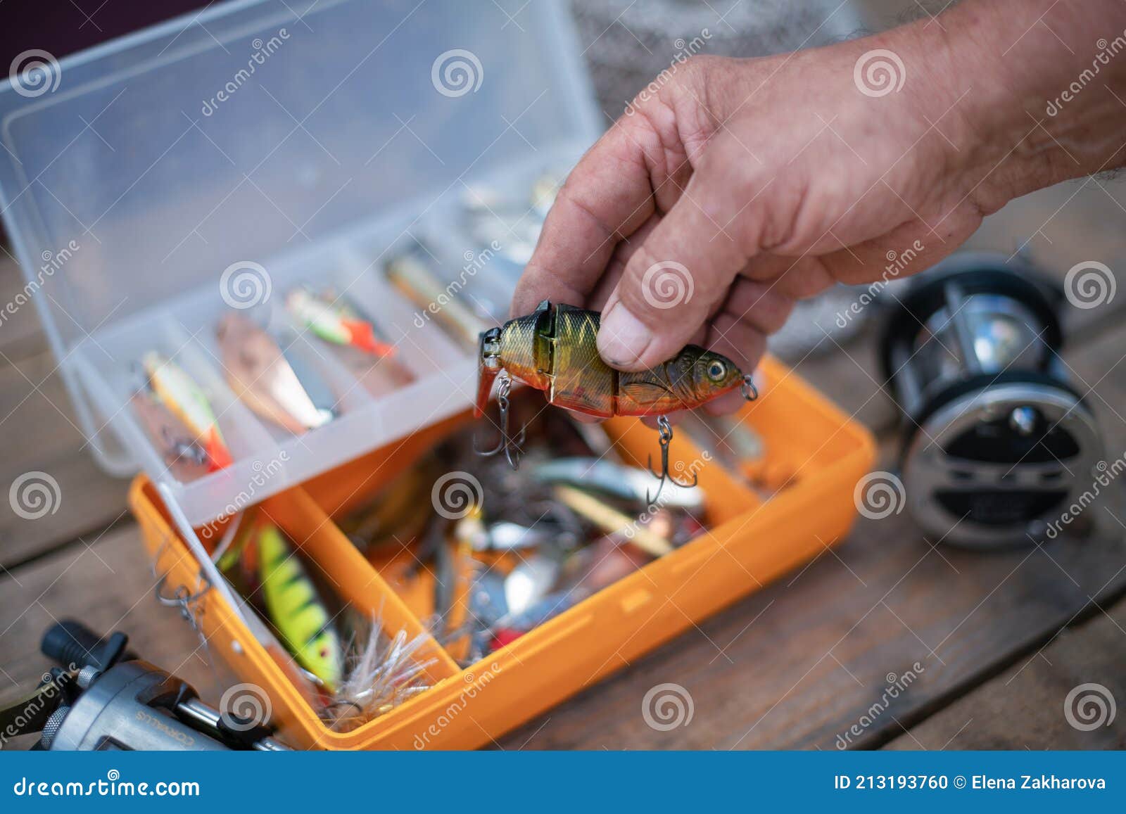 Fishing Lures and Tackle in the Form of Bright Fish. Sets of