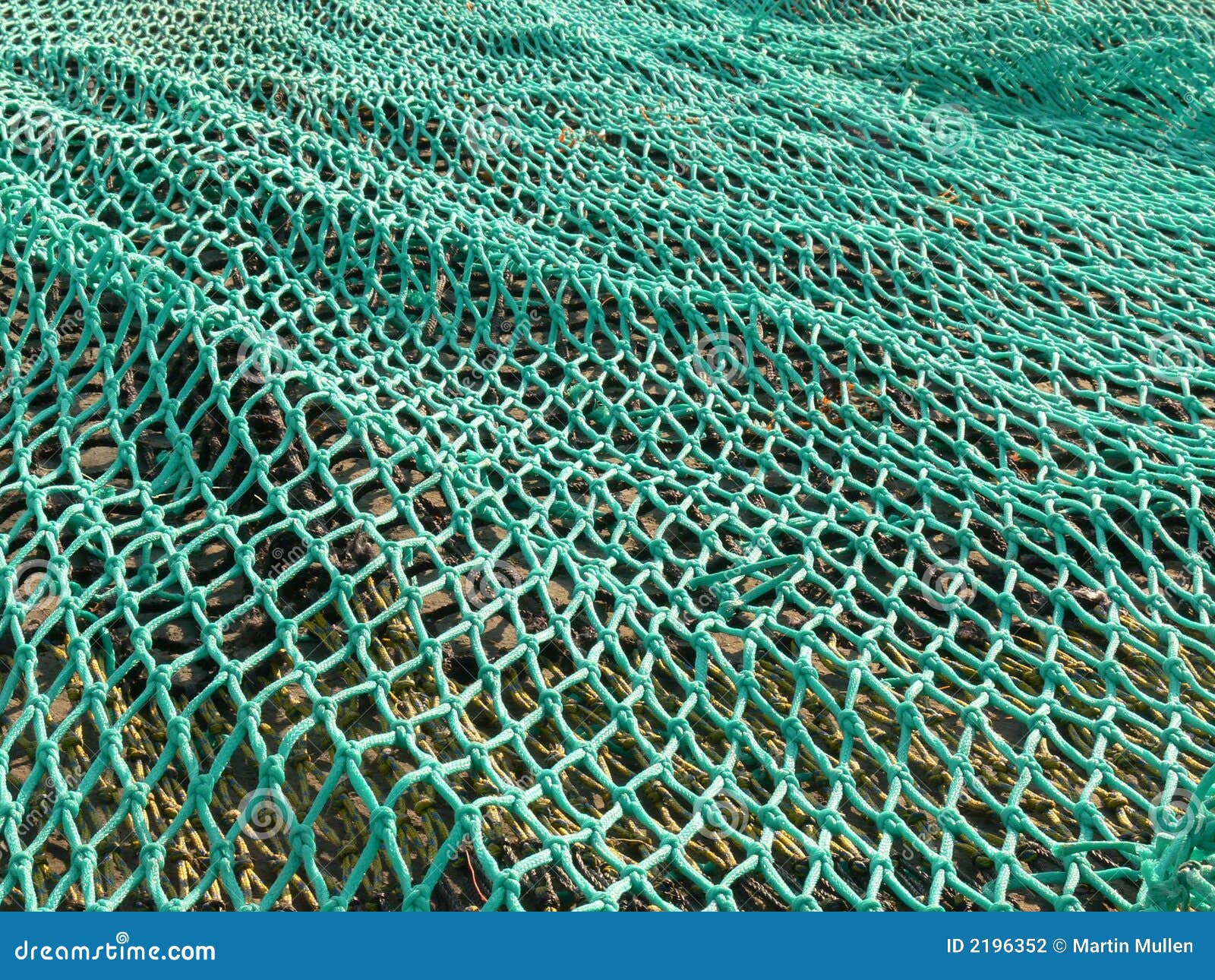 8,675 Green Fishing Net Stock Photos - Free & Royalty-Free Stock