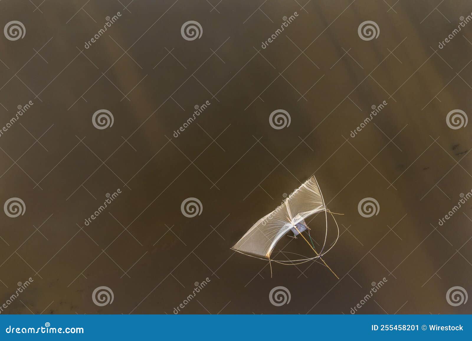 Fishing net in the water stock image. Image of natural 255458201