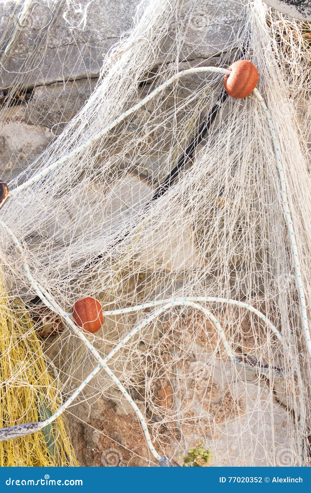 Fishing net stock photo. Image of background, fragile - 77020352