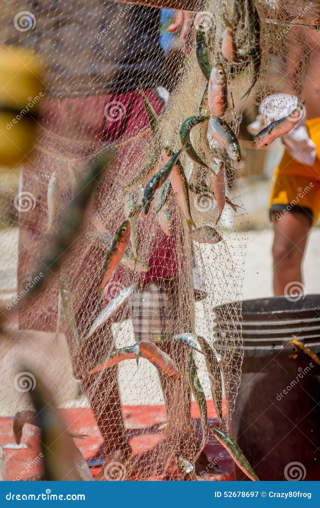 5,948 Net Fish Trap Stock Photos - Free & Royalty-Free Stock Photos from  Dreamstime - Page 6