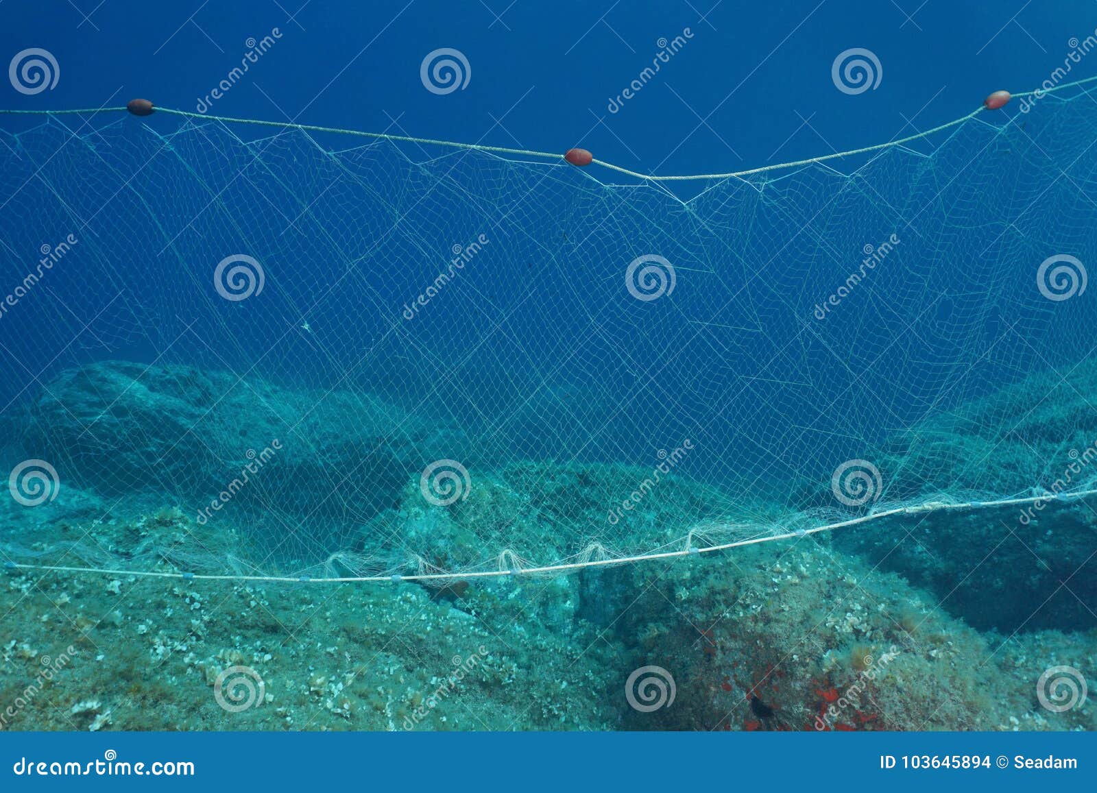 A Fishing Net Gillnet Underwater on the Seabed Stock Photo - Image