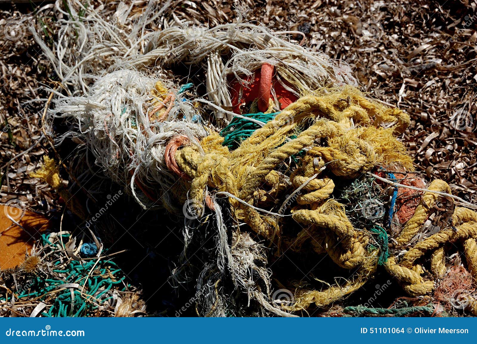 Fishing Net Pollution from the Sea Stock Photo Image of trash, problem 51101064