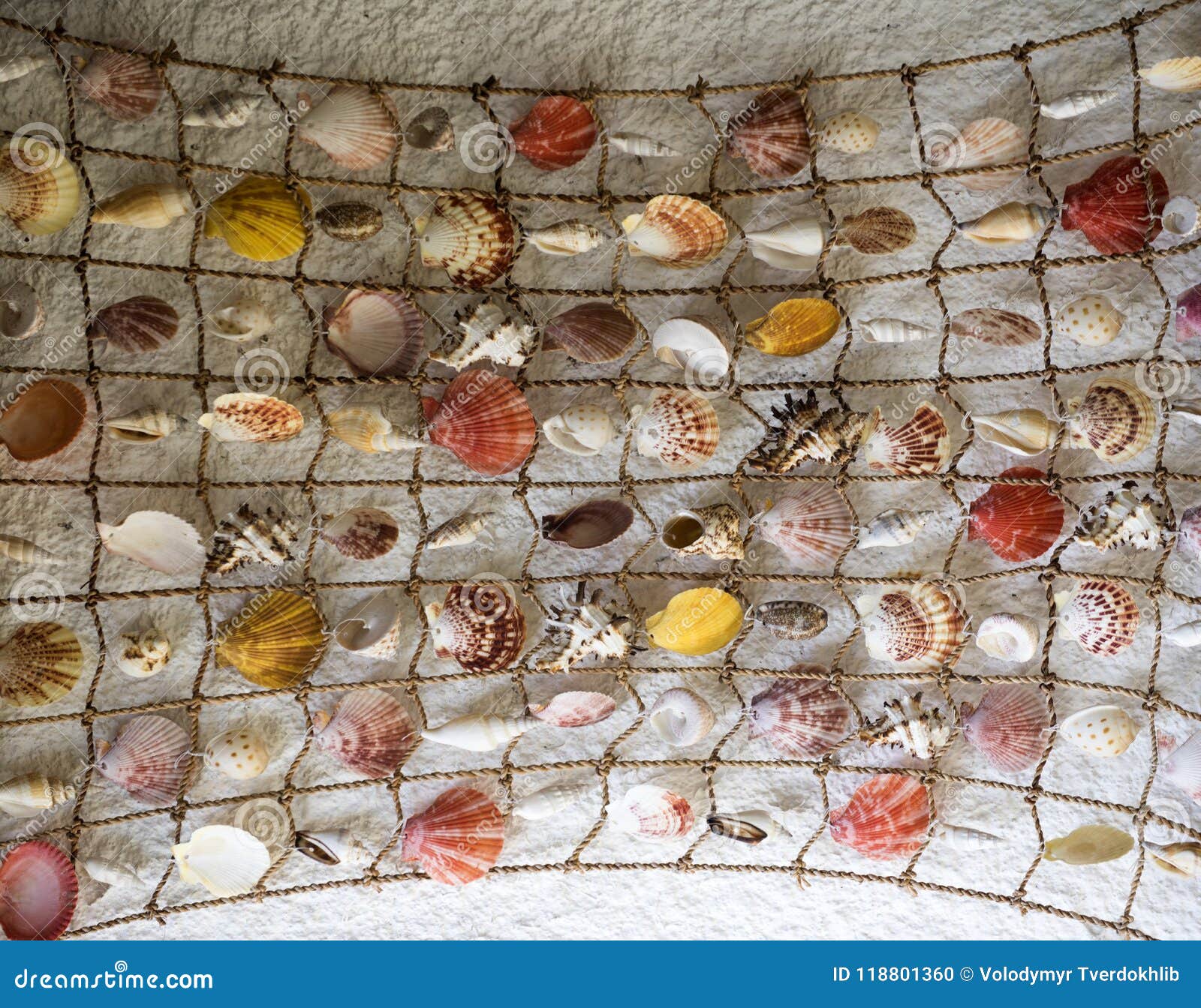 Fishing Net with Seashells. Network with Beautiful Seashells As Decor. Sea  Decor and Design Concept Stock Photo - Image of color, scallop: 118801360