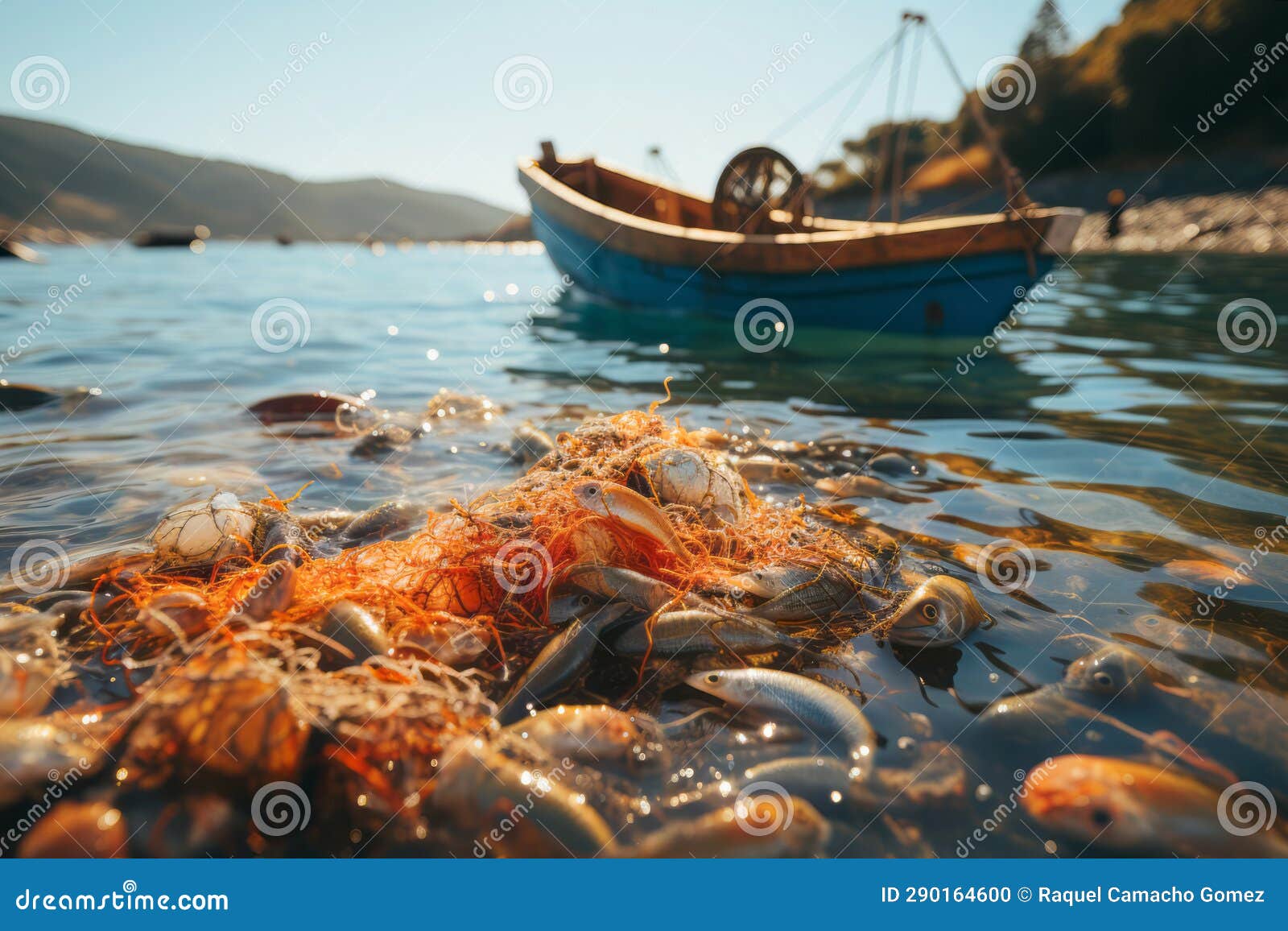 https://thumbs.dreamstime.com/z/fishing-net-several-fishes-near-small-boat-some-fish-caught-foreground-background-water-290164600.jpg