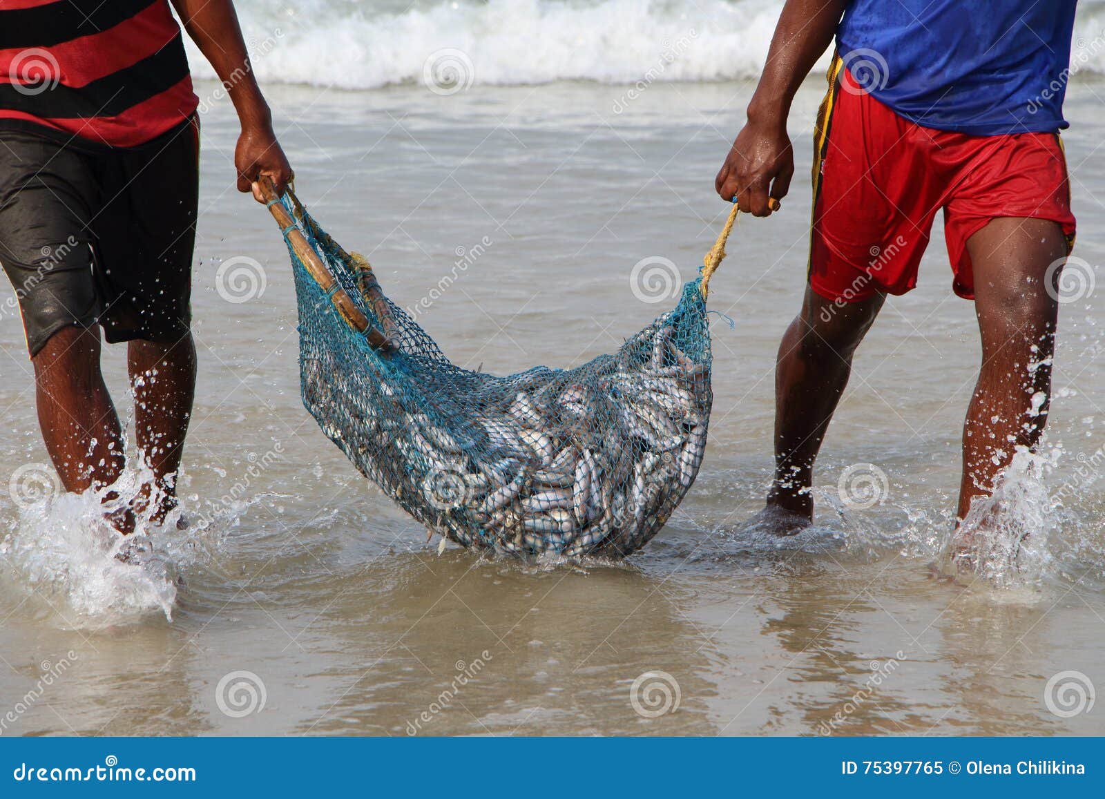 https://thumbs.dreamstime.com/z/fishing-net-small-fish-fisherman-s-haul-india-south-small-sardines-bag-food-ingridient-fish-curry-brown-bag-bunch-75397765.jpg