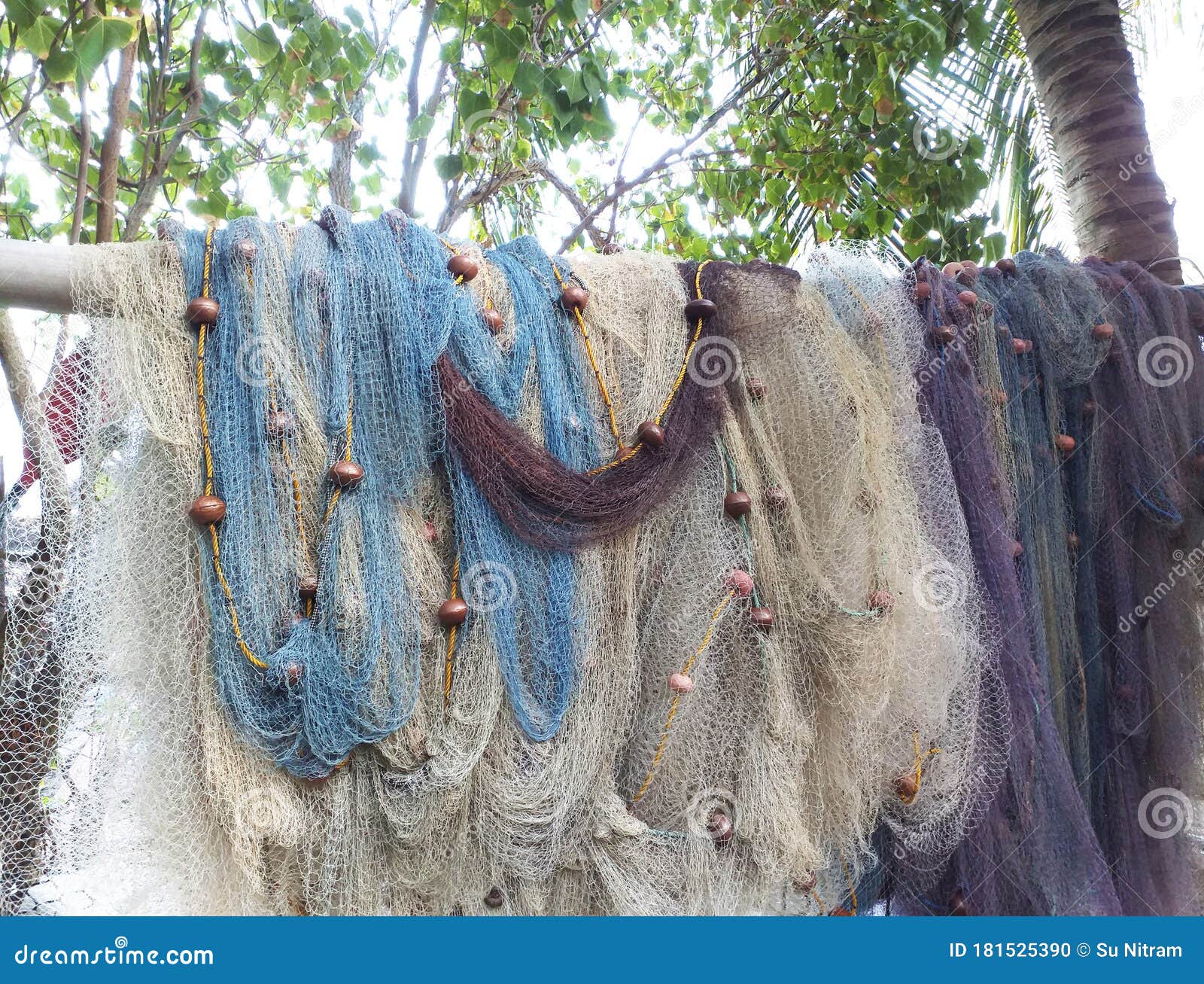 Fishing Nets of Different Sizes and Colors Hanging and Drying